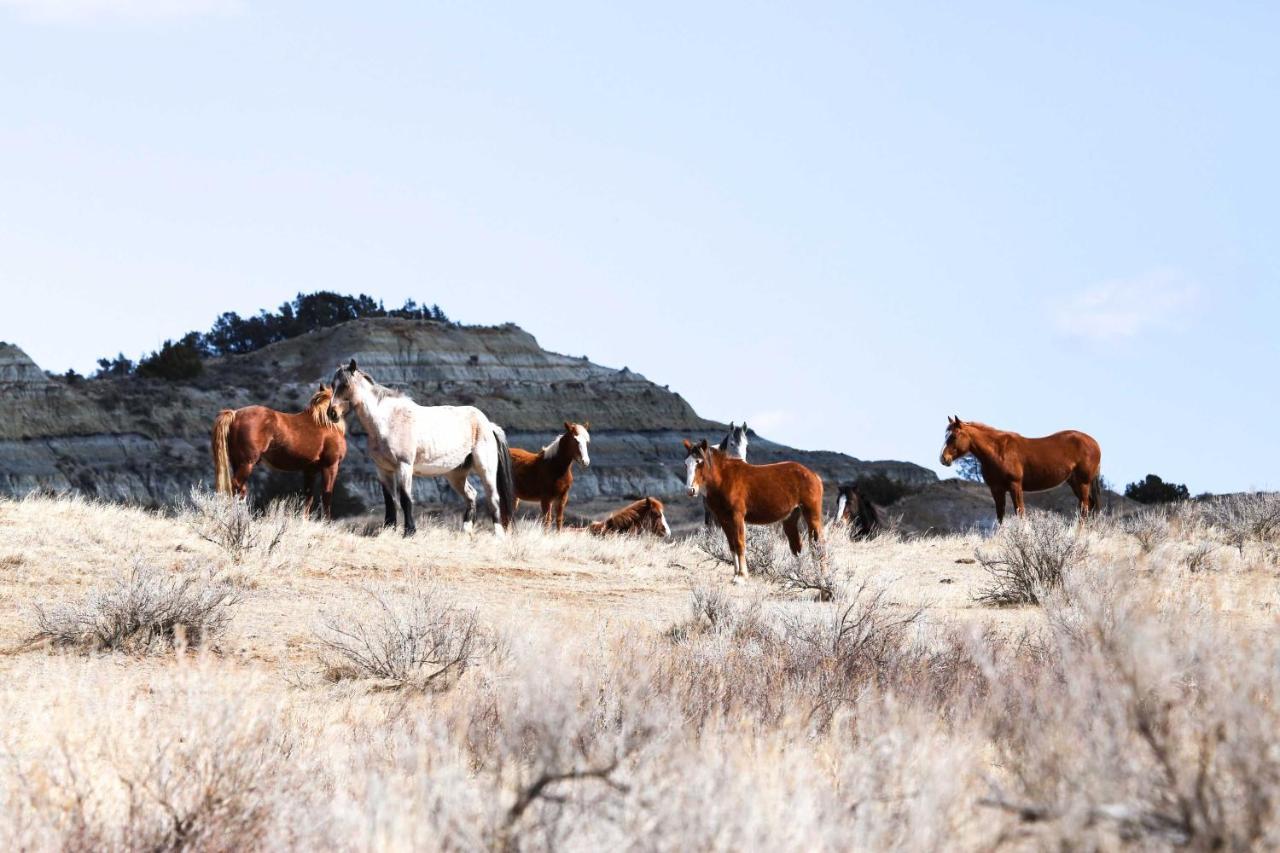 Badlands Suite Less Than 1 Mi To Teddy Roosevelt Park! Медора Екстериор снимка