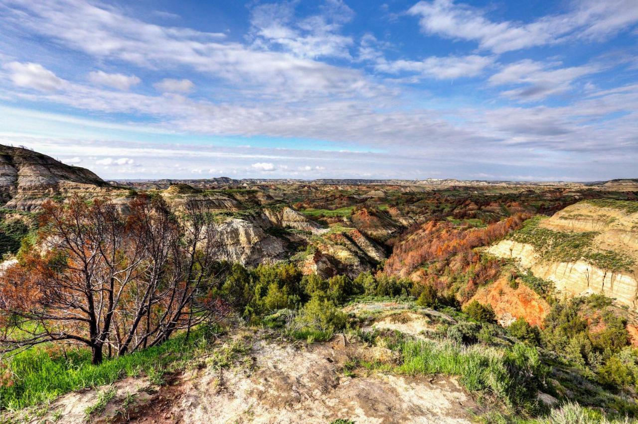 Badlands Suite Less Than 1 Mi To Teddy Roosevelt Park! Медора Екстериор снимка